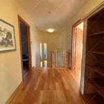 Rent 3 bedroom apartment of 182 m² in Budapest