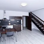 Rent 3 bedroom apartment of 121 m² in Brno