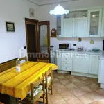 Rent 3 bedroom apartment of 98 m² in Genoa