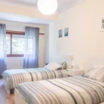 Rent 3 bedroom apartment in Porto