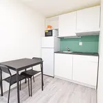 Rent 3 bedroom apartment of 32 m² in Brno