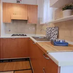 Rent 1 bedroom apartment of 52 m² in Florence