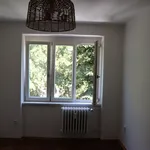 Rent 2 bedroom apartment in Hradec Králové