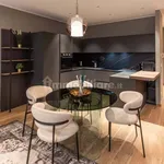 Rent 2 bedroom apartment of 85 m² in Turin