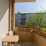 Rent 1 bedroom apartment of 49 m² in Berlin