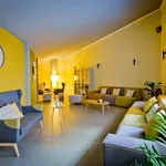 Rent a room in Pamplona