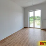 Rent 1 bedroom apartment in Znojmo