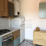 Rent 2 bedroom apartment of 80 m² in Vicenza