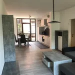 Rent 1 bedroom apartment of 53 m² in Aachen