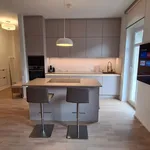 Rent 1 bedroom apartment of 55 m² in Dresden