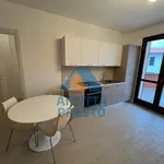 Rent 1 bedroom apartment of 30 m² in Empoli