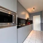 Rent 1 bedroom apartment in Blankenberge