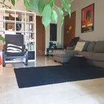 Rent 3 bedroom apartment of 99 m² in Arese