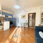 Rent 3 bedroom apartment of 65 m² in Pisa