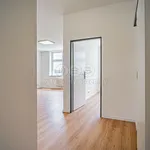 Rent 3 bedroom apartment in Ostrava