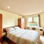 Rent 1 bedroom apartment in North East England