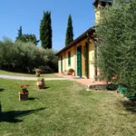 Rent 1 bedroom apartment of 30 m² in Brisighella