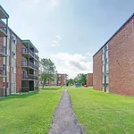 Rent 2 bedroom apartment in Lévis