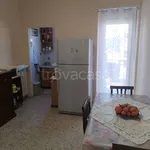 Rent 3 bedroom apartment of 75 m² in Collegno