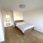 Pronajměte si 4 ložnic/e byt o rozloze 90 m² v Pilsen