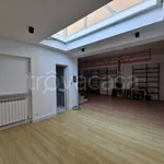 Rent 4 bedroom house of 250 m² in Grottaferrata