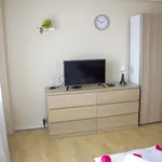 Rent 1 bedroom apartment of 50 m² in Prague