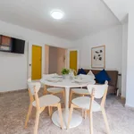 Alquilar 4 dormitorio apartamento en Valencia