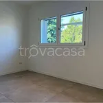 Rent 3 bedroom apartment of 65 m² in Montebelluna