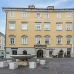 Rent 1 bedroom apartment of 52 m² in Vienna