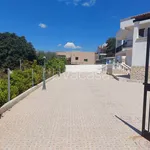 Rent 2 bedroom apartment of 60 m² in Pulsano