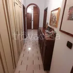 Rent 4 bedroom apartment of 110 m² in Torino