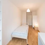 Rent 5 bedroom apartment in Munich