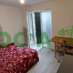 Appartement de 16 m² avec 1 chambre(s) en location à Plombières-Lès-Dijon