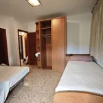 Rent 3 bedroom apartment in valencia