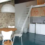 Rent 1 bedroom apartment of 22 m² in Grenoble