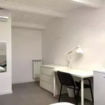 Rent 4 bedroom apartment in Rome