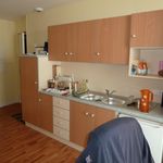 Rent 1 bedroom apartment of 19 m² in NANTES