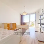 Rent 2 bedroom apartment of 63 m² in České Budějovice