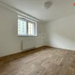 Rent 2 bedroom apartment of 55 m² in Tábor