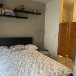 Rent 1 bedroom apartment in Leuven