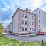 Rent 1 bedroom apartment in Písek