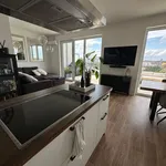 Rent 1 bedroom apartment of 133 m² in Dusseldorf