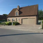 Rent 3 bedroom house of 1 m² in Dentergem