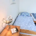 Rent 1 bedroom apartment of 38 m² in Prague