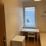 Rent a room in Katowice