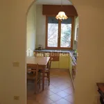 Rent 4 bedroom apartment of 90 m² in Bologna