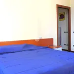 Rent 2 bedroom apartment of 55 m² in Bergamo