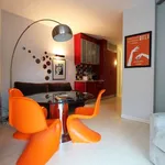 Rent 1 bedroom apartment of 55 m² in madrid