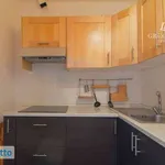 Rent 4 bedroom apartment of 100 m² in Rome