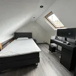 Rent 1 bedroom apartment in Brussels